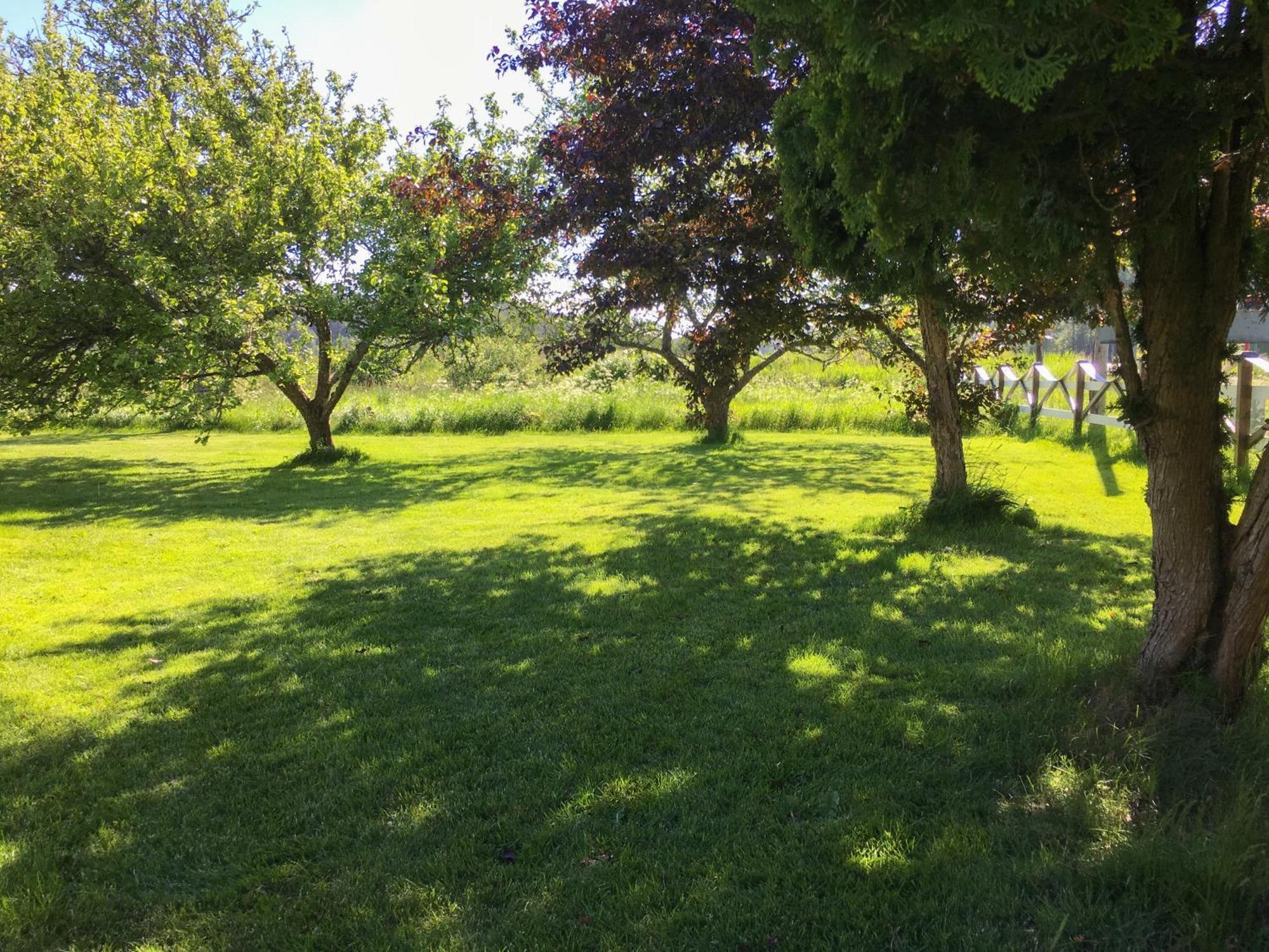 Orreklaepp Villa Tanumshede Cameră foto